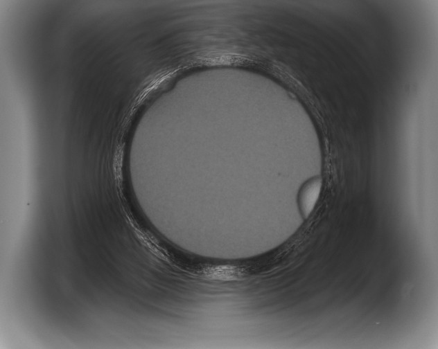 X0000103320058200810061003