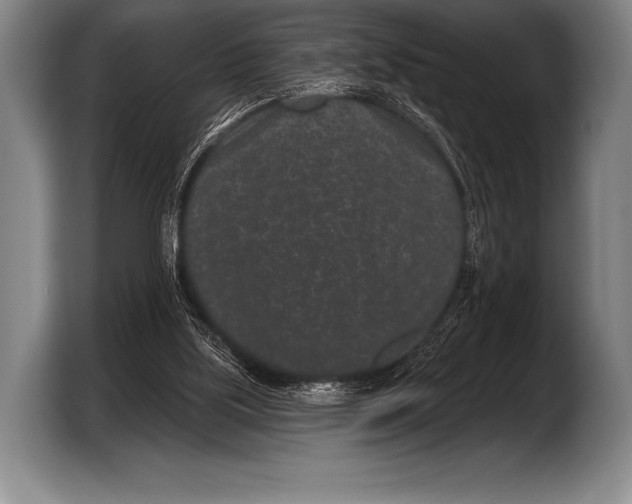X0000103320059200810061003