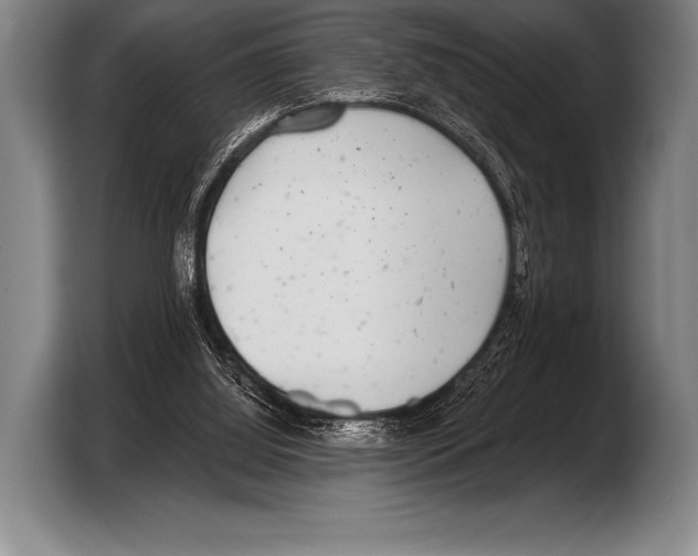 X0000103320060200810061003