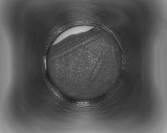 X0000103320061200810061003