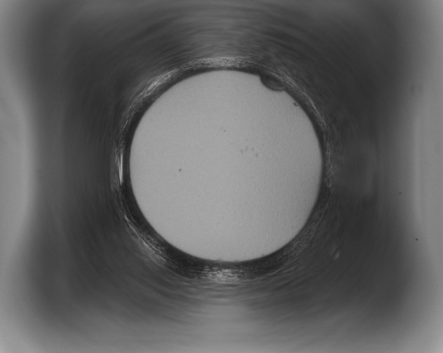X0000103320062200810061003