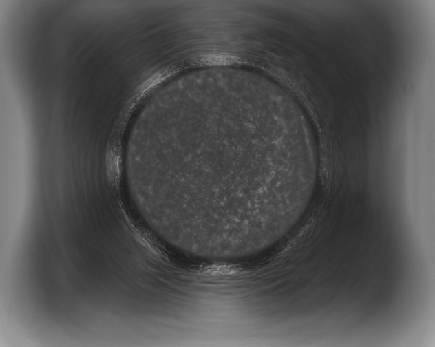 X0000103320063200810061003