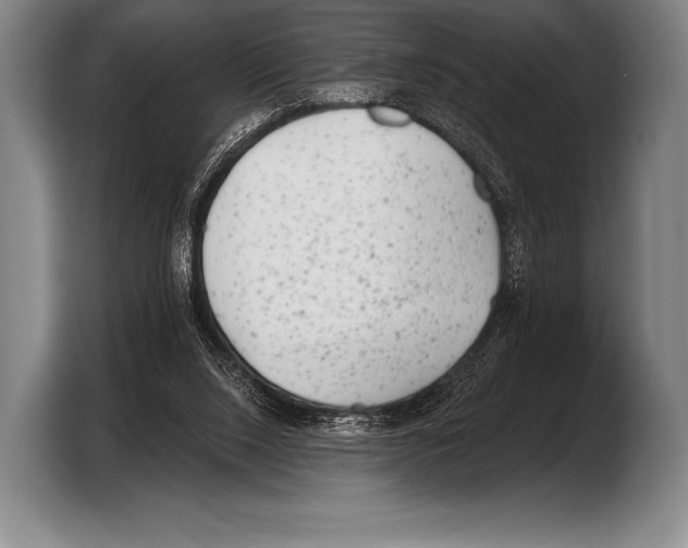 X0000103320064200810061003