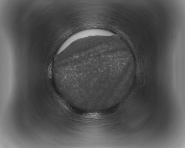 X0000103320065200810061003