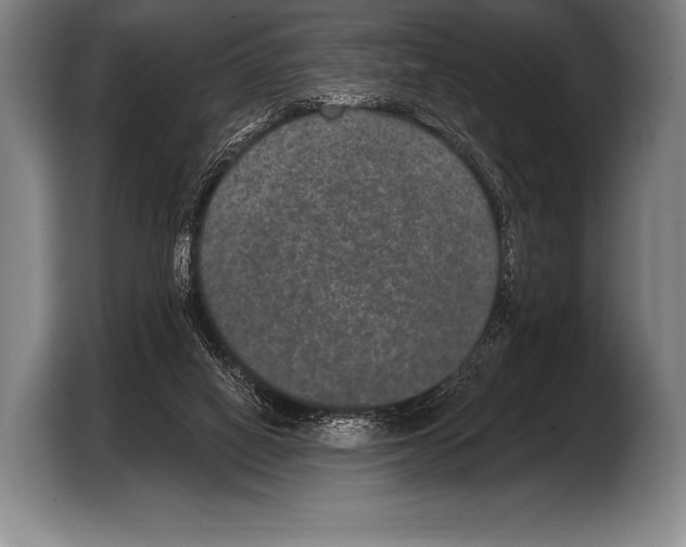 X0000103320066200810061003