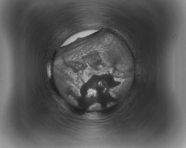 X0000103320069200810061003