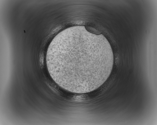 X0000103320072200810061003