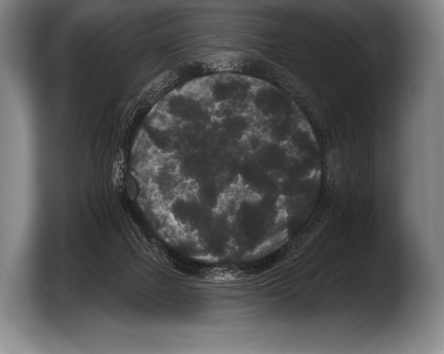 X0000103320073200810061003