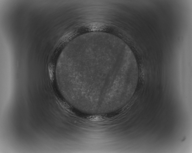 X0000103320074200810061003