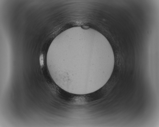 X0000103320075200810061003