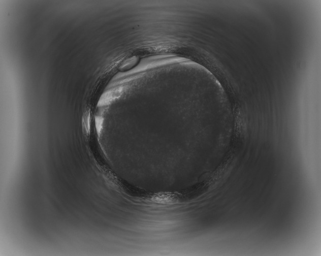 X0000103320076200810061003