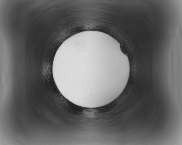 X0000103320079200810061003