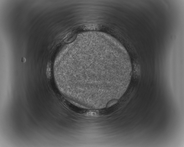 X0000103320080200810061003