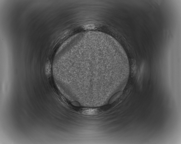 X0000103320081200810061003