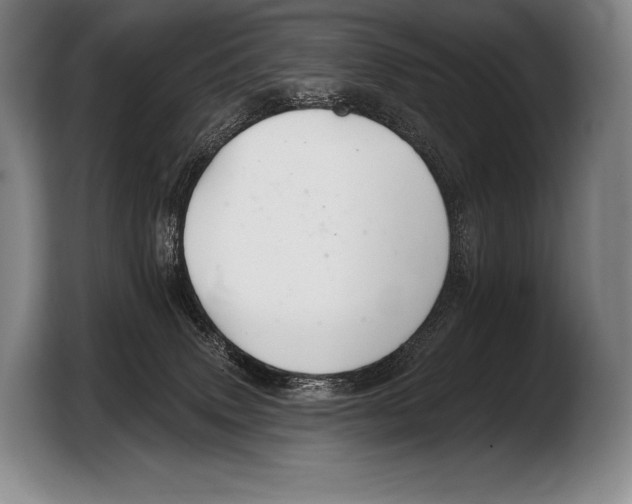 X0000103320083200810061003