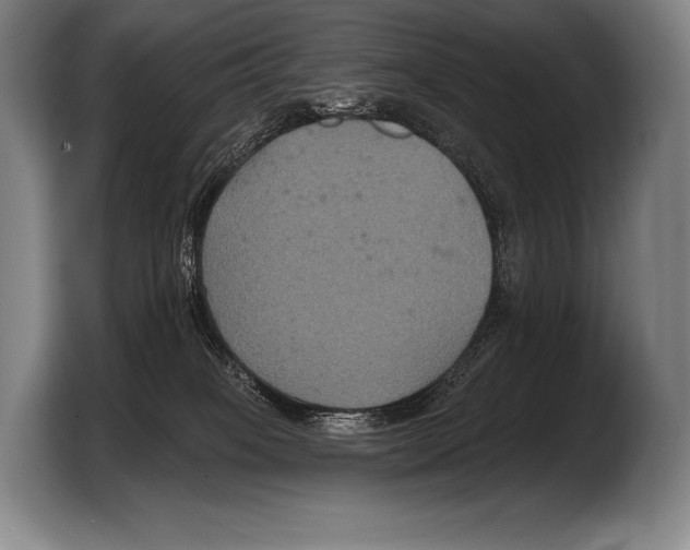 X0000103320085200810061003