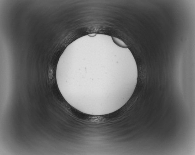 X0000103320087200810061003