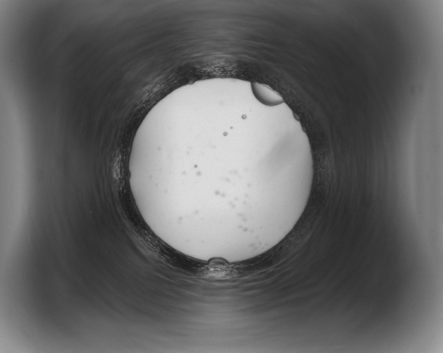 X0000103320088200810061003