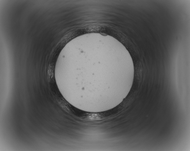 X0000103320091200810061003