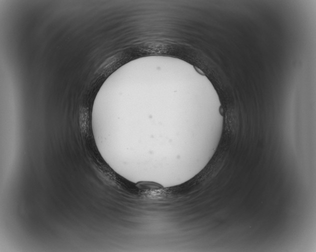 X0000103320092200810061003