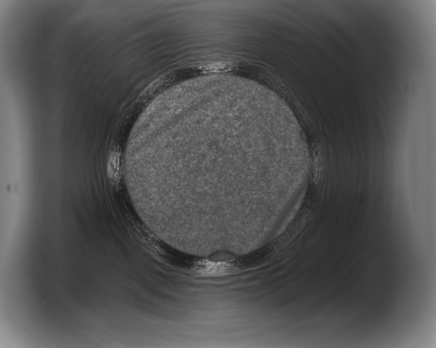 X0000103320093200810061003