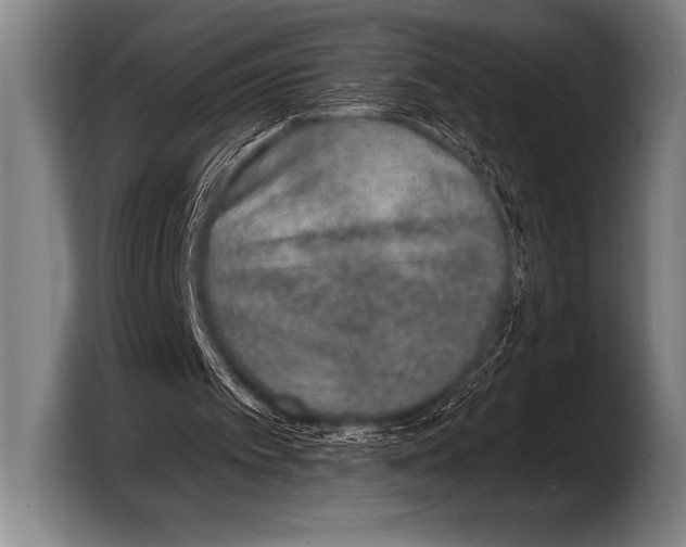 X0000103320097200810061003