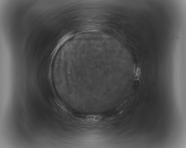 X0000103320099200810061003