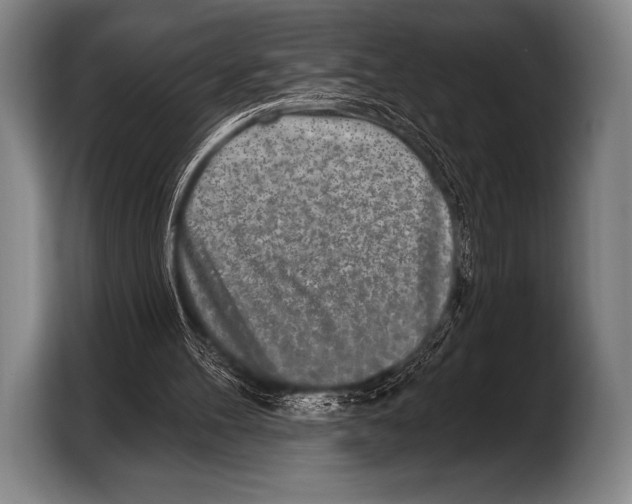X0000103320100200810061003