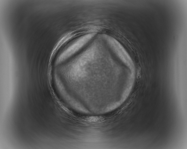 X0000103320101200810061002