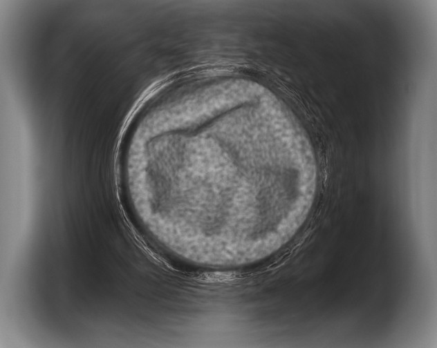 X0000103320102200810061002