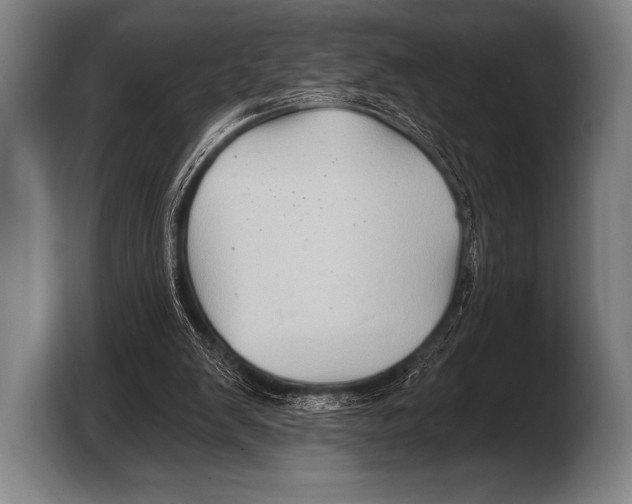 X0000103320103200810061002