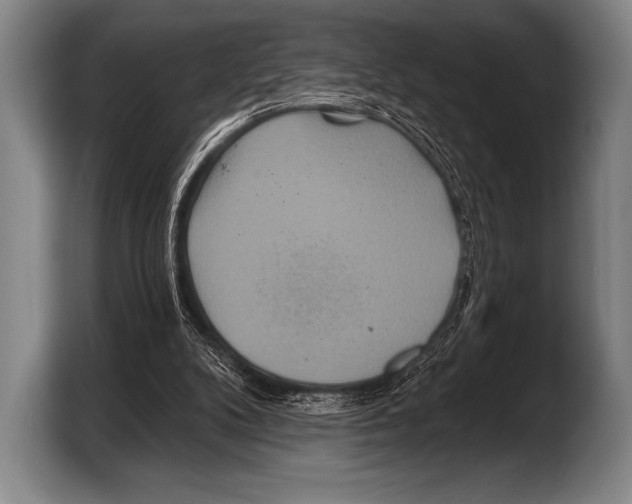 X0000103320104200810061002
