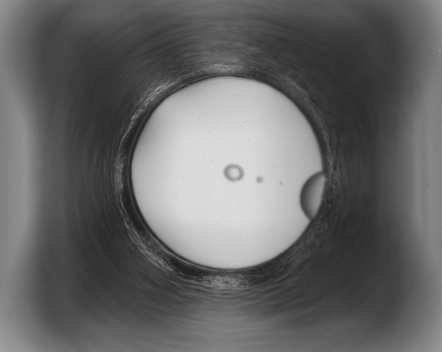 X0000103320106200810061002