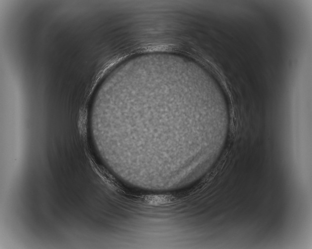 X0000103320107200810061002