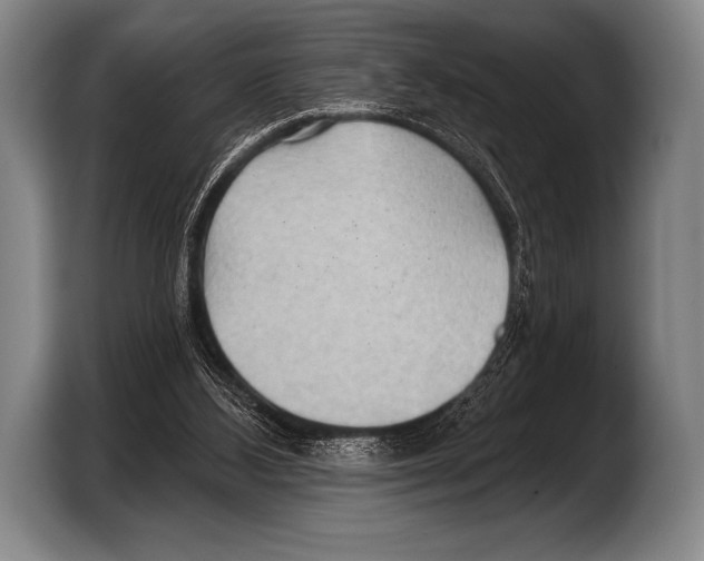 X0000103320108200810061002