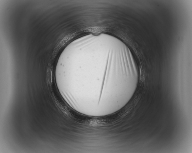 X0000103320109200810061002