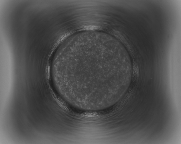 X0000103320110200810061002