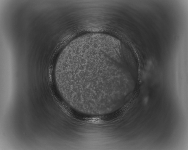 X0000103320114200810061002