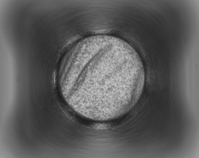 X0000103320115200810061002