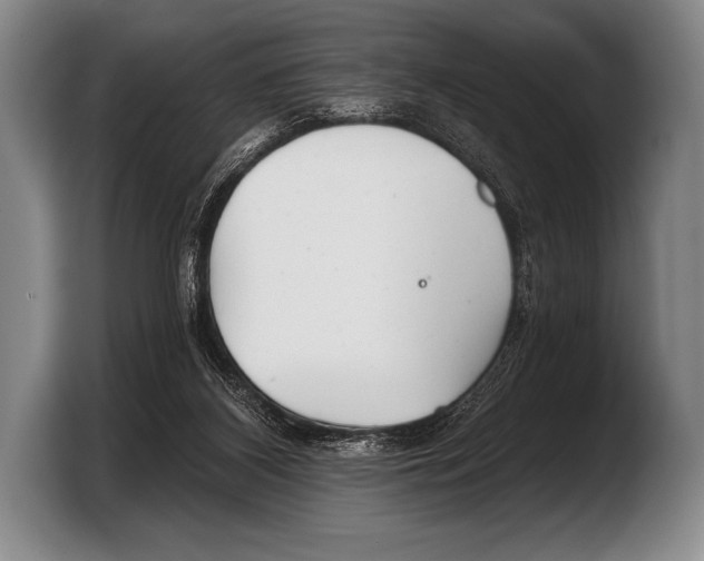 X0000103320116200810061002