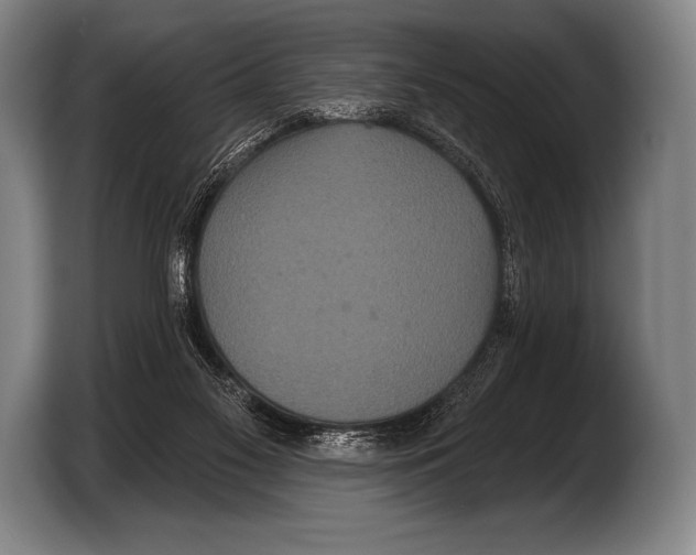 X0000103320117200810061002