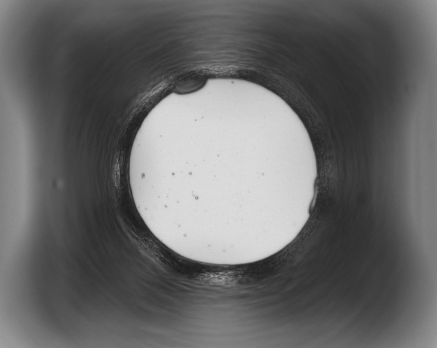 X0000103320120200810061002