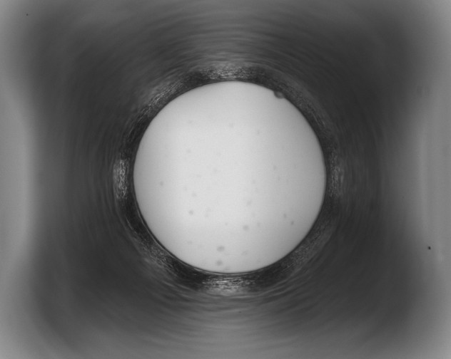 X0000103320121200810061002