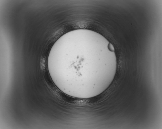 X0000103320122200810061002