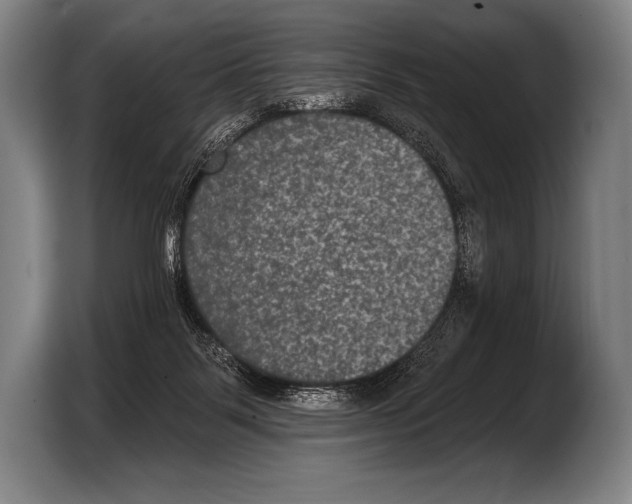 X0000103320123200810061002