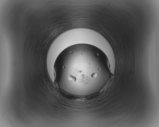X0000103320124200810061002