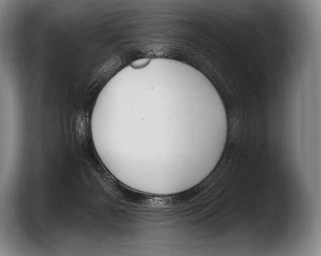 X0000103320126200810061002
