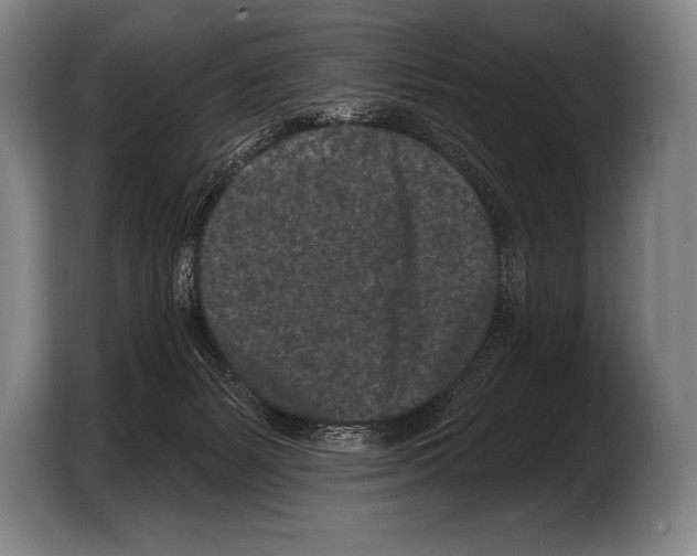 X0000103320127200810061002