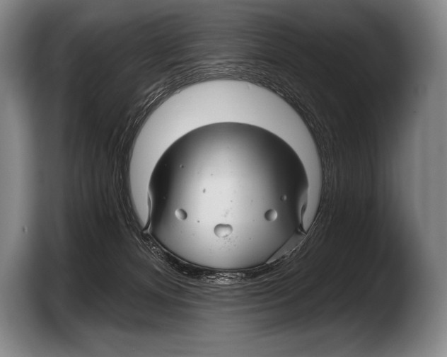 X0000103320128200810061002
