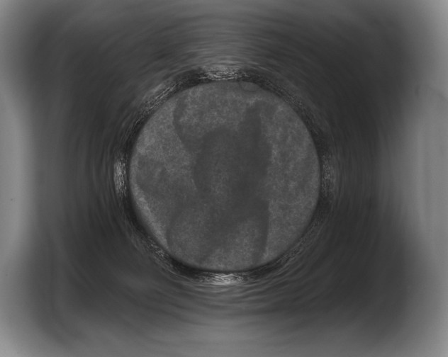 X0000103320130200810061002